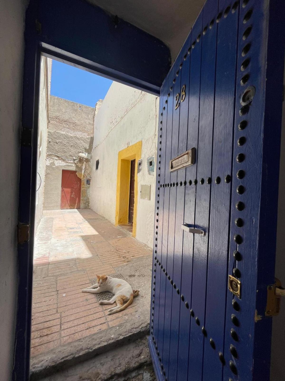 Les Terrasses Suites Home - Yoga Studio Essaouira Eksteriør billede